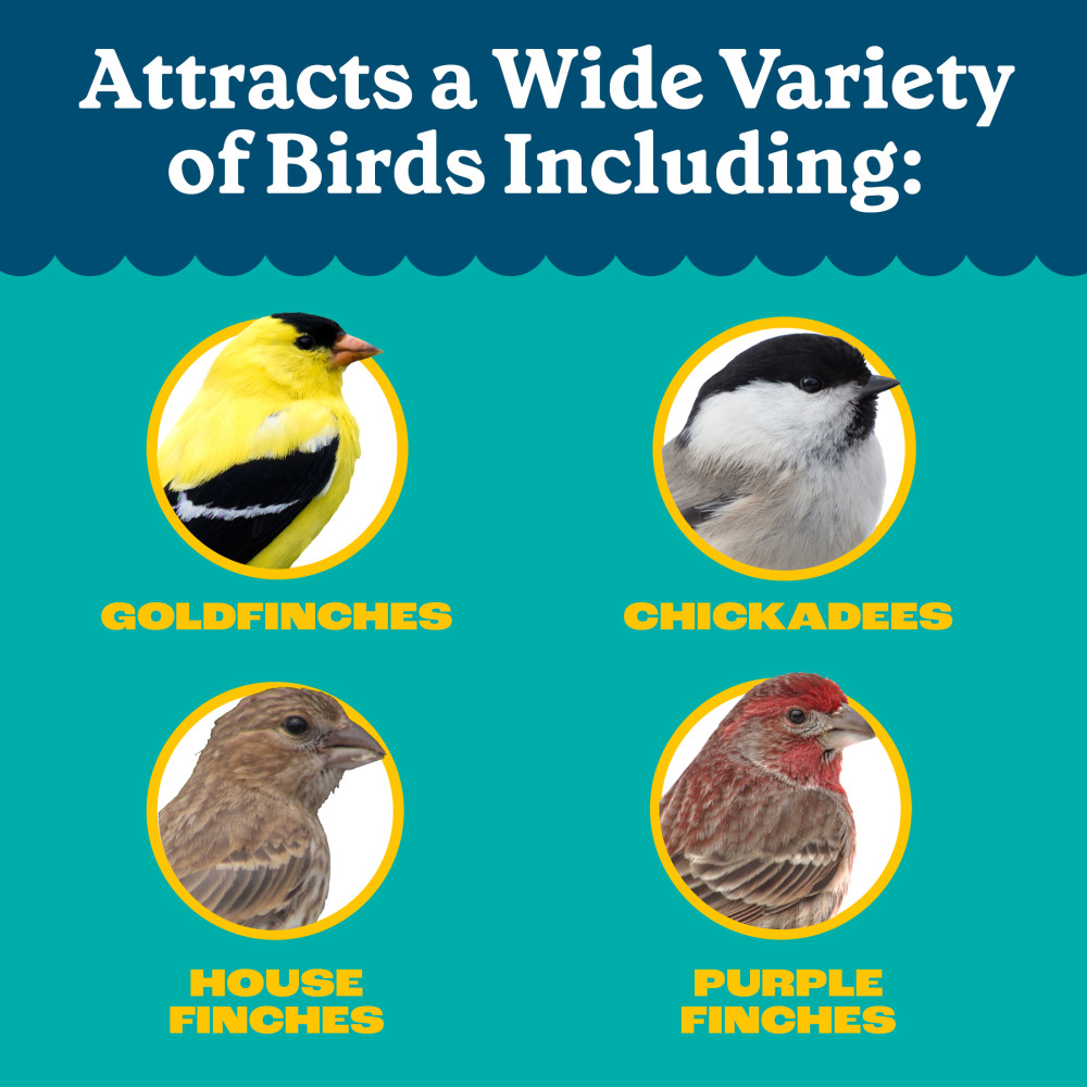 100552167-pennington-feeding-frenzy-finch-favorites-tube-feeder-blend-wild-bird-food-10-pounds-8