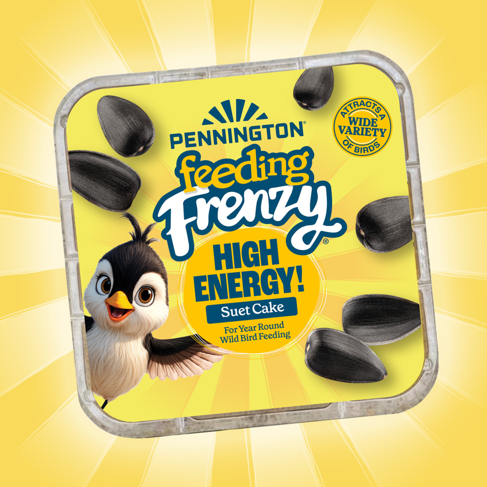 Pennington Feeding Frenzy High Energy Suet Cake 11.75 oz