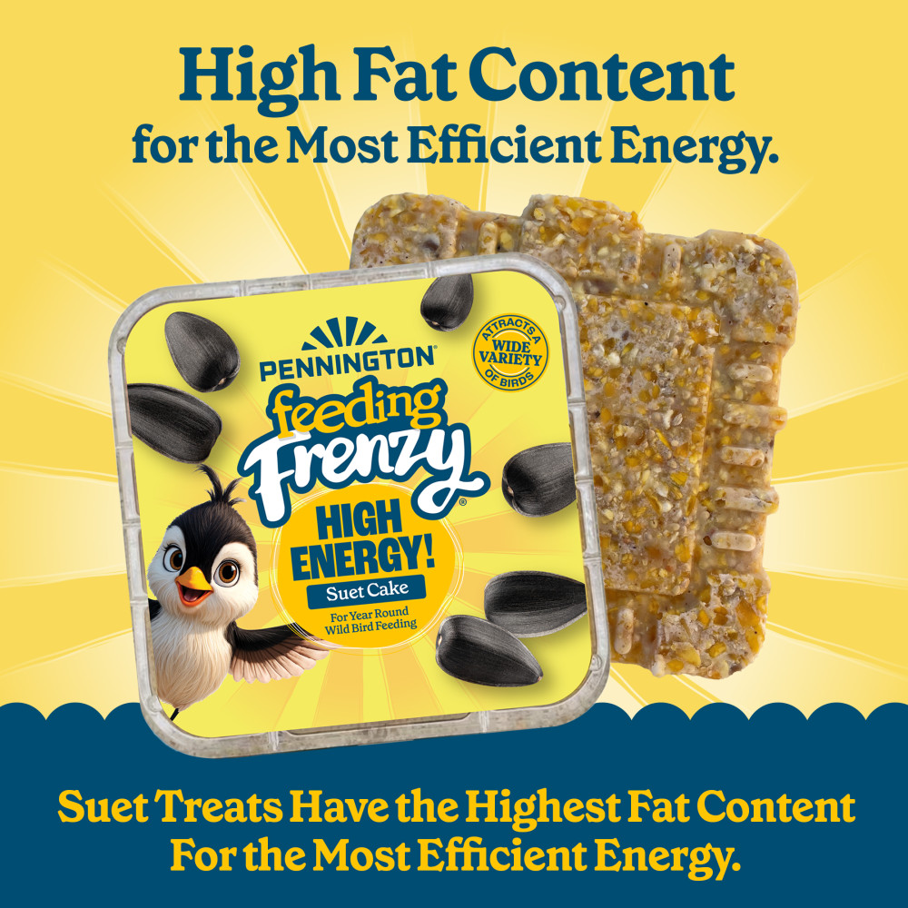 Pennington Feeding Frenzy High Energy Suet Cake 11.75 oz