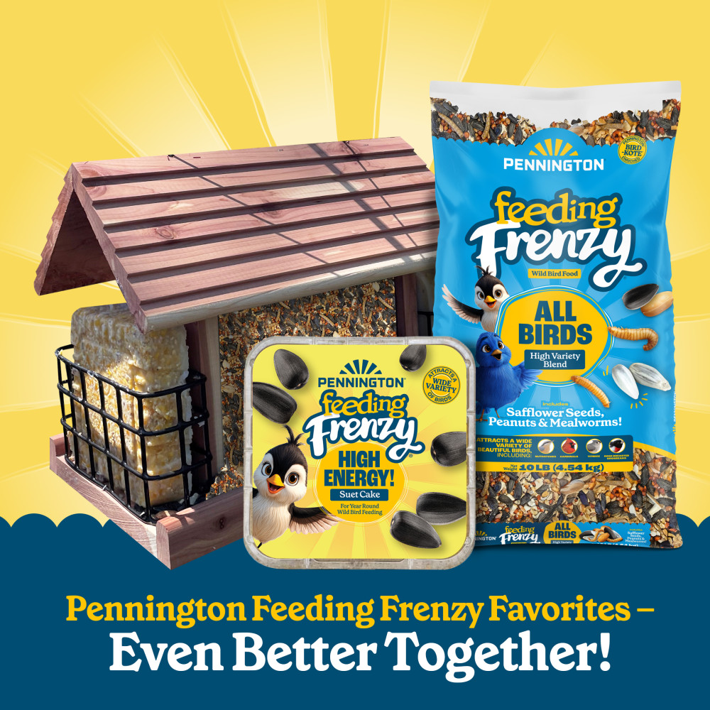 Pennington Feeding Frenzy High Energy Suet Cake 11.75 oz
