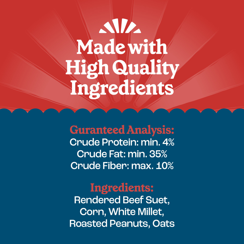 Pennington Feeding Frenzy Nutty Treat Suet Cake 11.75 oz