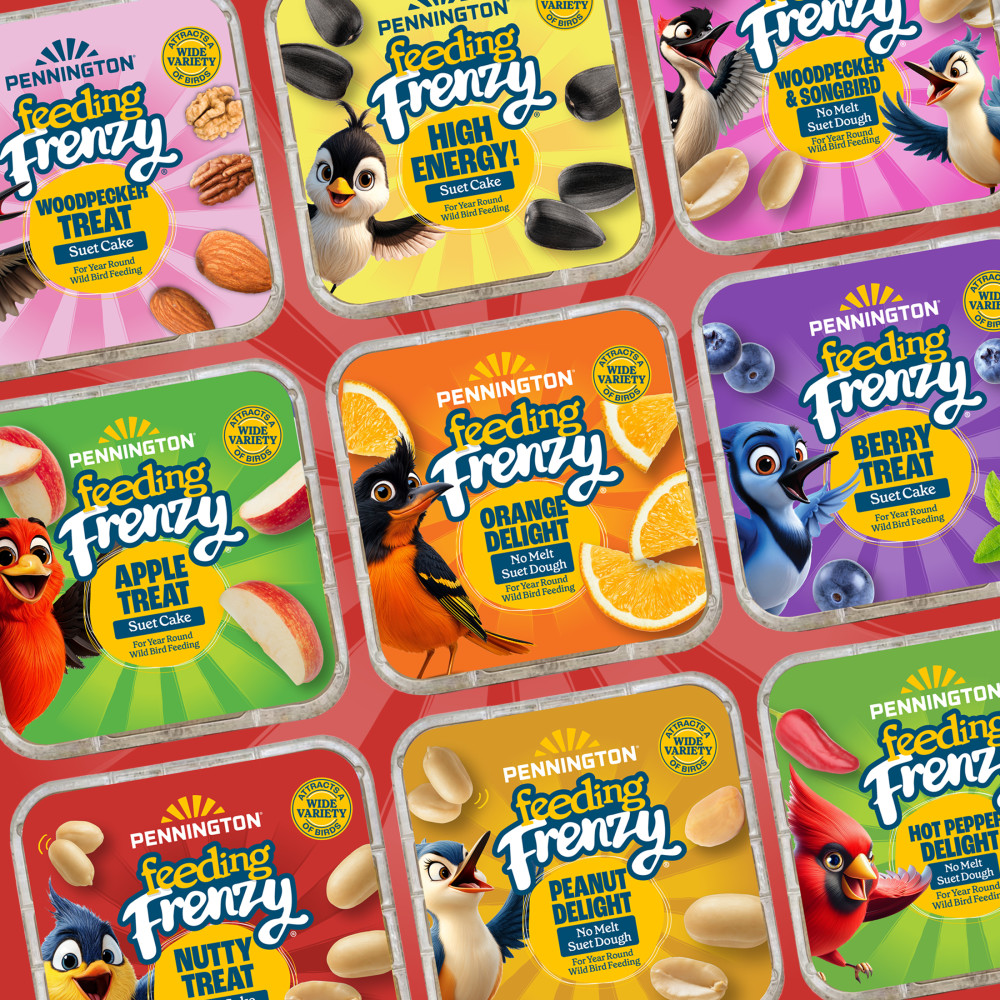 Pennington Feeding Frenzy Nutty Treat Suet Cake 11.75 oz