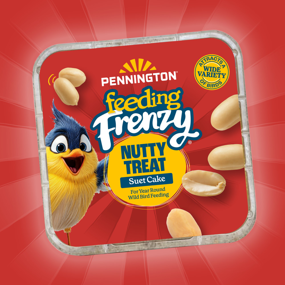 Pennington Feeding Frenzy Nutty Treat Suet Cake 11.75 oz