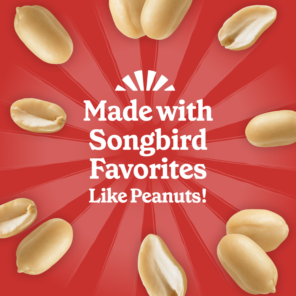 Pennington Feeding Frenzy Nutty Treat Suet Cake 11.75 oz