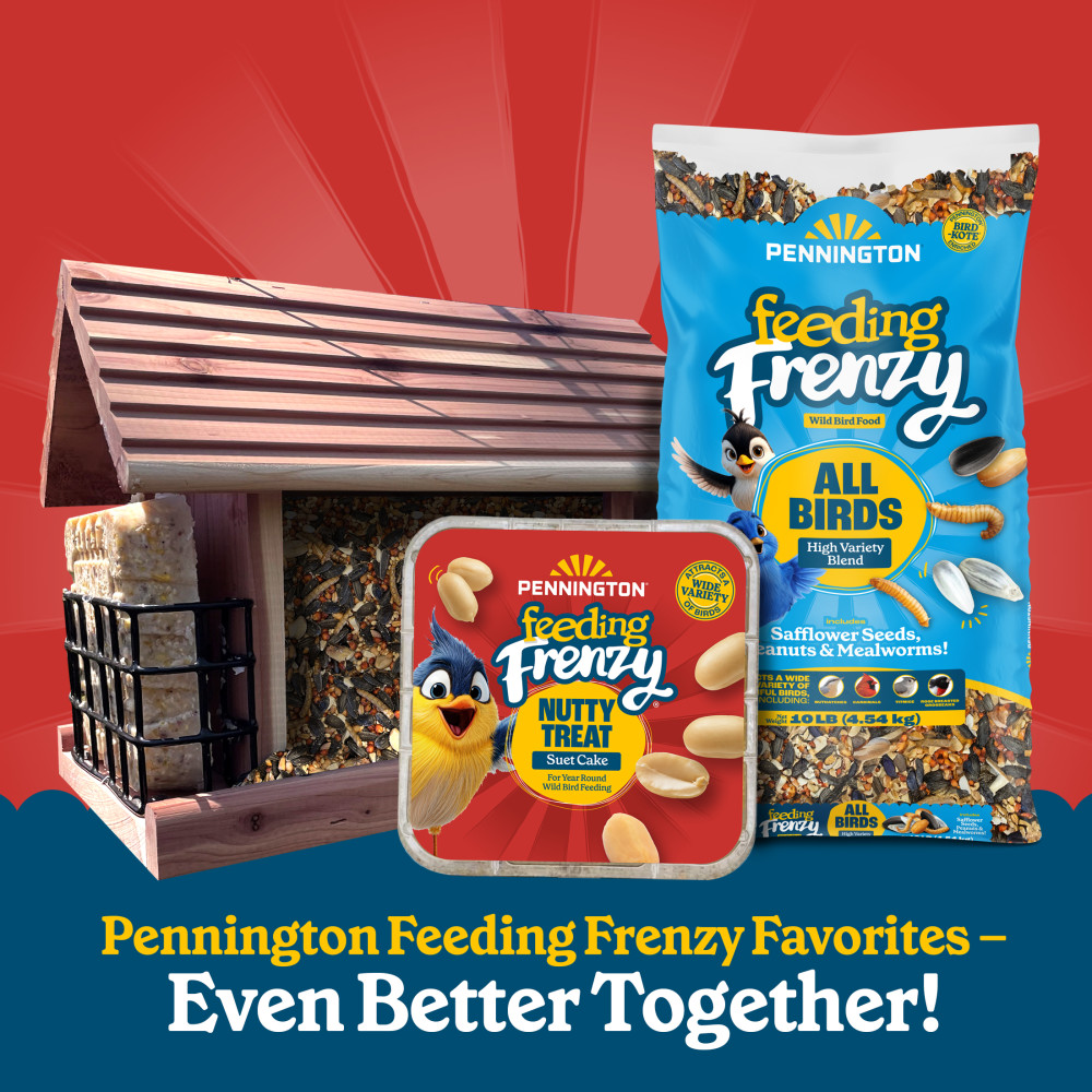 Pennington Feeding Frenzy Nutty Treat Suet Cake 11.75 oz