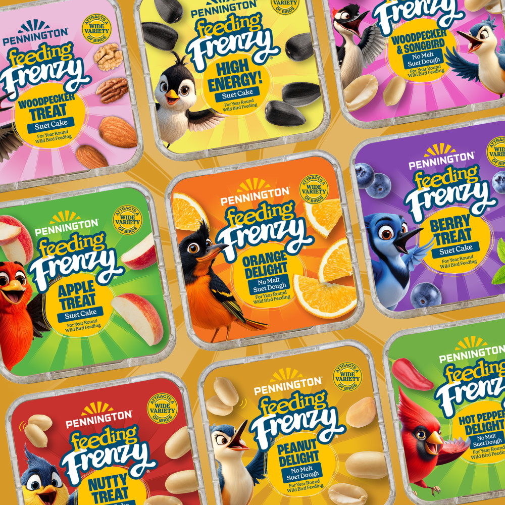 Pennington Feeding Frenzy Peanut Delight No Melt Suet Dough 11.75 oz