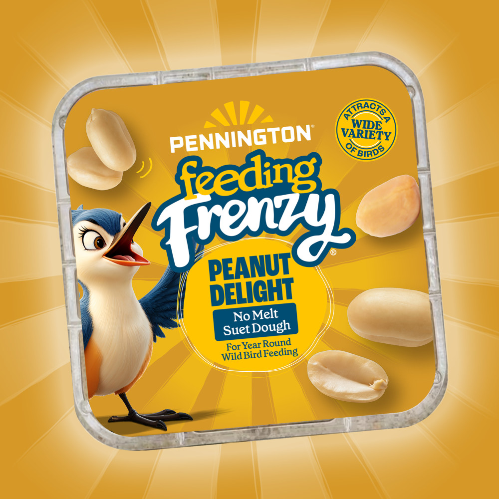 Pennington Feeding Frenzy Peanut Delight No Melt Suet Dough 11.75 oz