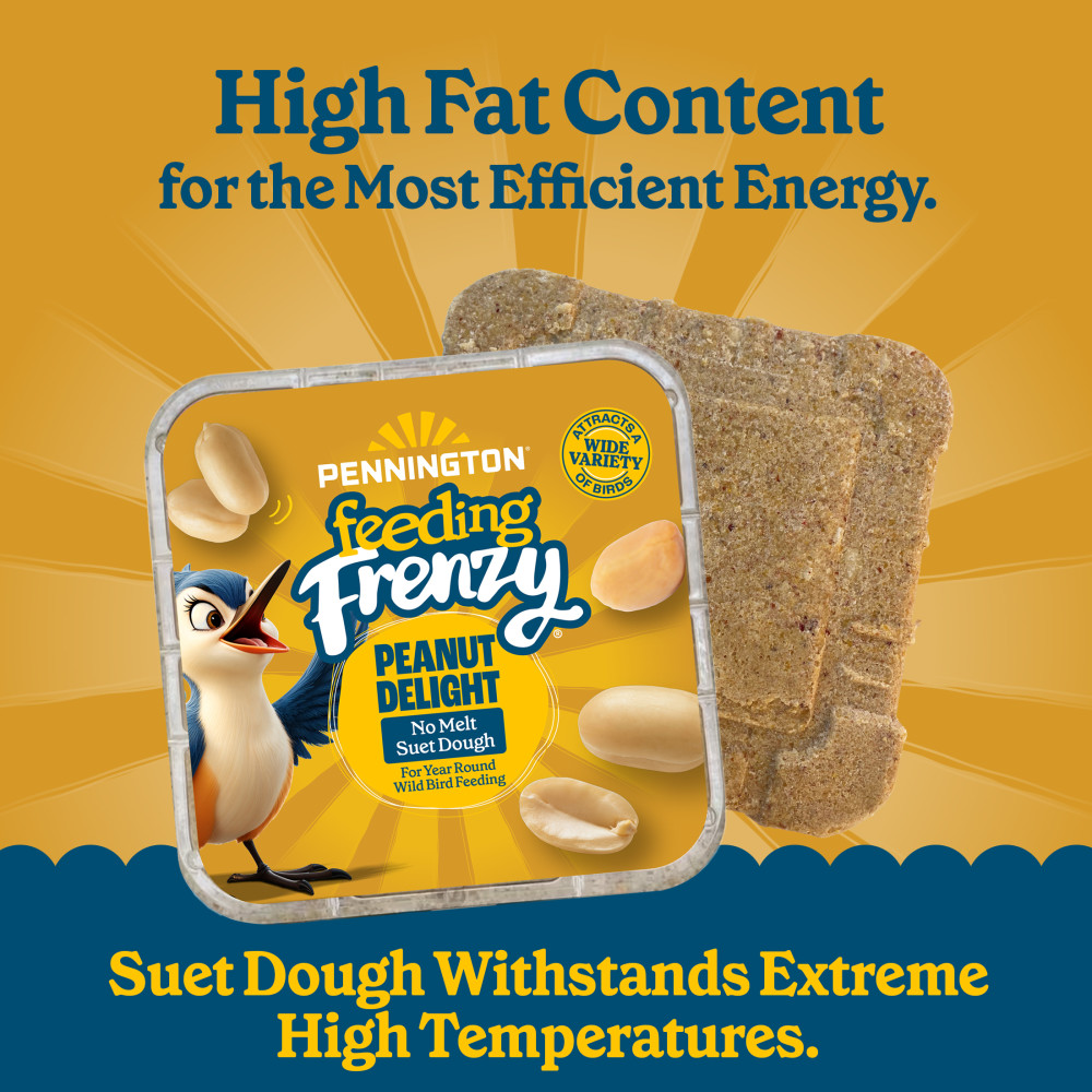Pennington Feeding Frenzy Peanut Delight No Melt Suet Dough 11.75 oz