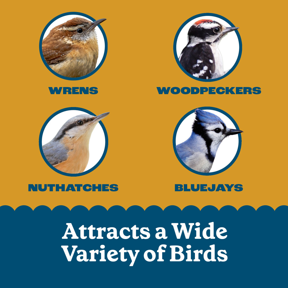 Pennington Feeding Frenzy Peanut Delight No Melt Suet Dough 11.75 oz