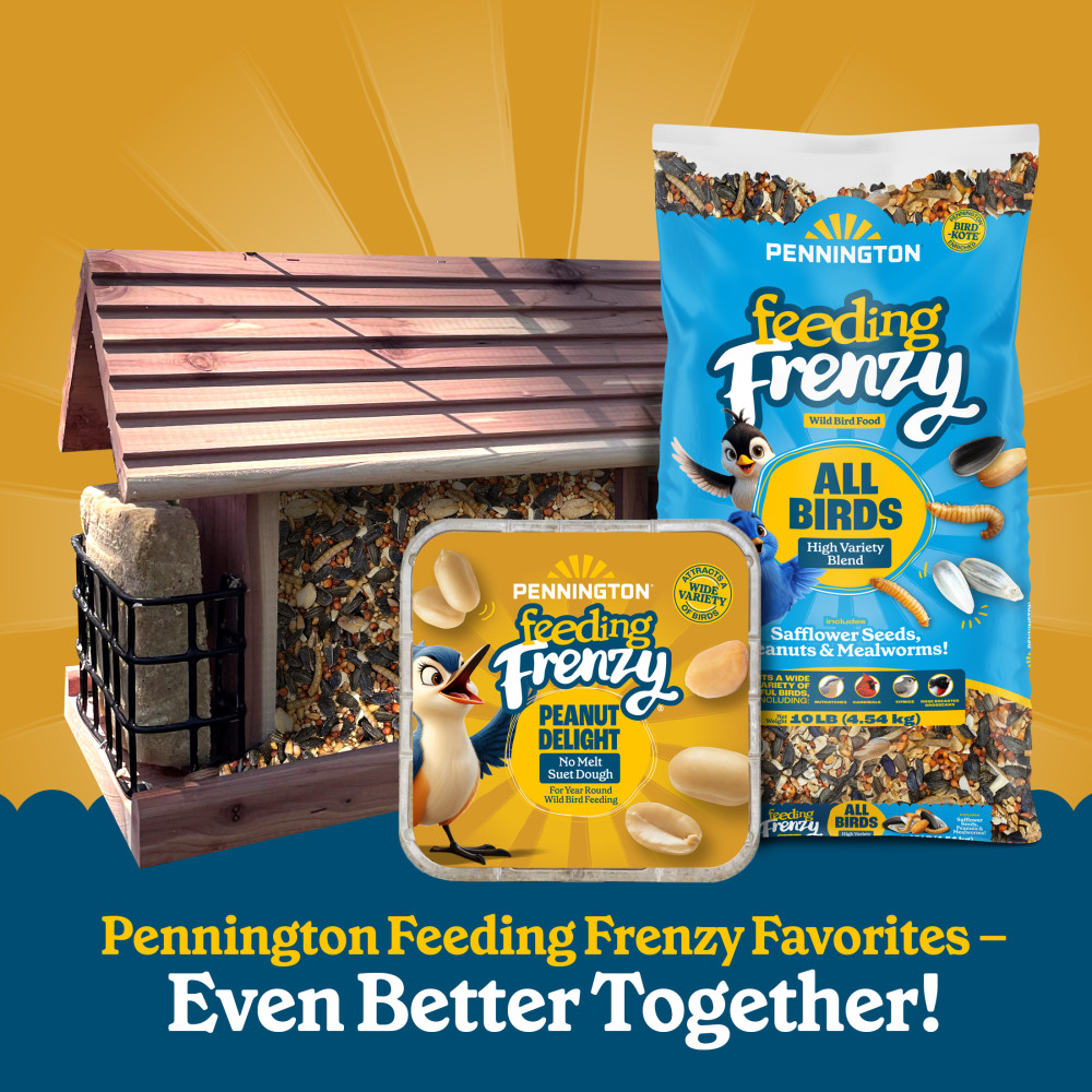 Pennington Feeding Frenzy Peanut Delight No Melt Suet Dough 11.75 oz