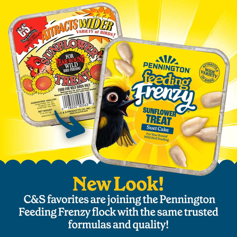 Pennington Feeding Frenzy Sunflower Treat Suet Cake 11 oz