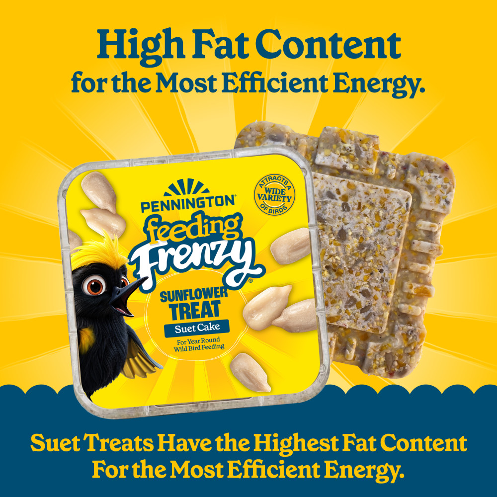 Pennington Feeding Frenzy Sunflower Treat Suet Cake 11 oz