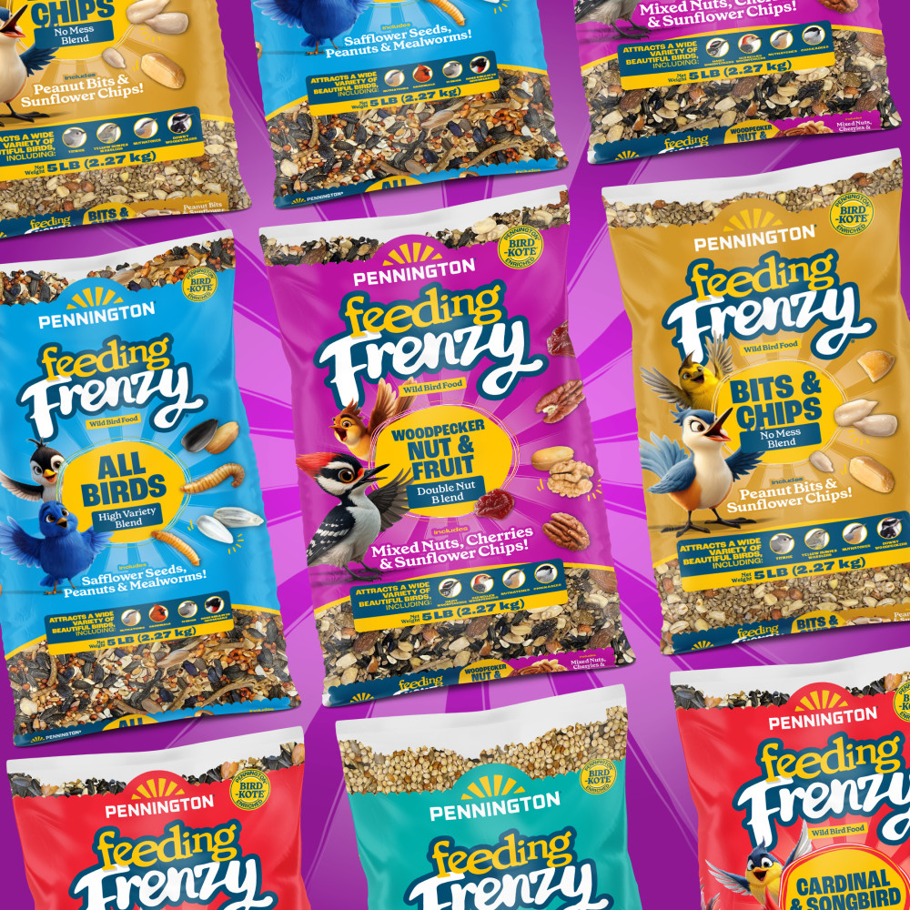 100552160penningtonfeedingfrenzywoodpeckernutfruitdoublenutblendwildbirdfood25pounds12