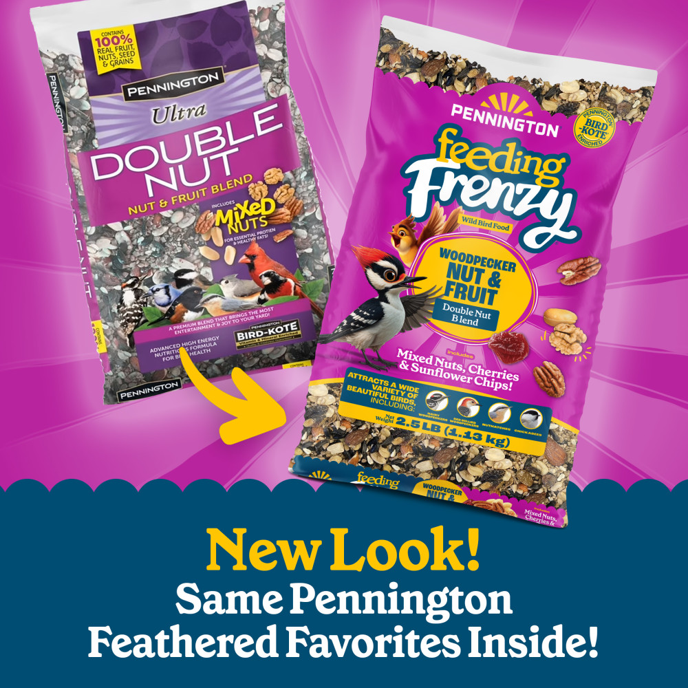 100552160penningtonfeedingfrenzywoodpeckernutfruitdoublenutblendwildbirdfood25pounds4