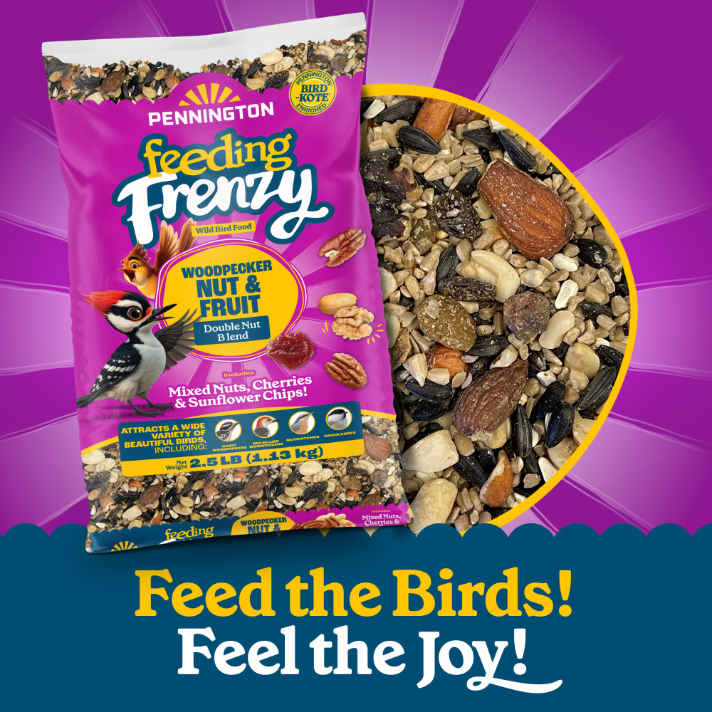 100552160penningtonfeedingfrenzywoodpeckernutfruitdoublenutblendwildbirdfood25pounds6
