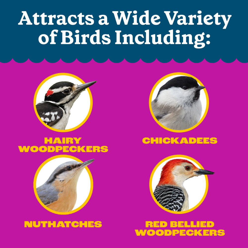 100552160penningtonfeedingfrenzywoodpeckernutfruitdoublenutblendwildbirdfood25pounds8