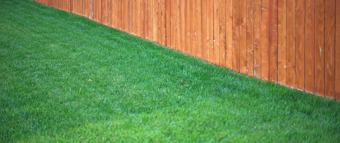 Feeding your fall lawn helps prepare it for winter and spring.