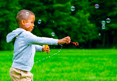 GrassResources-mobile