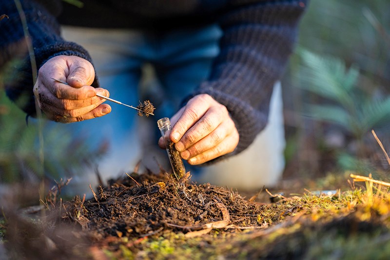 guide to interpreting soil tests
