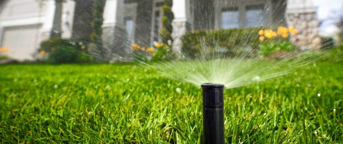 how-to-plant-grass-seed-in-a-new-lawn