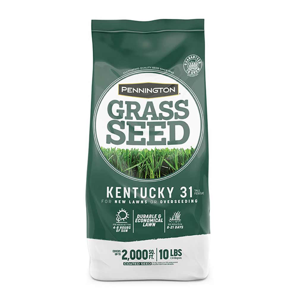 kentucky-31-tall-fescue-bag