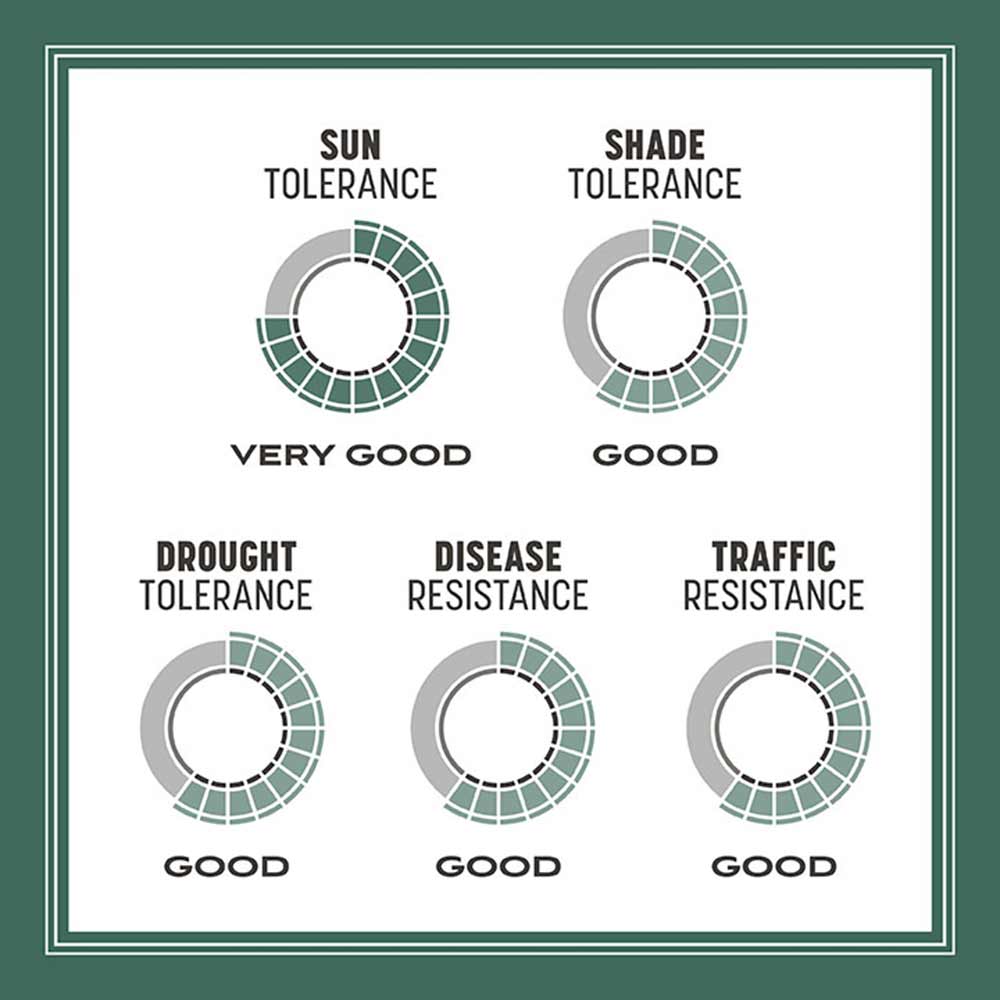 kentucky-31-tall-fescue-tolerance