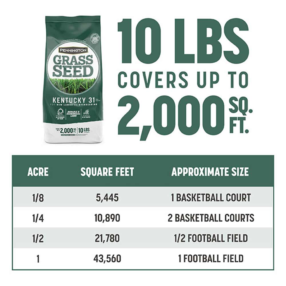 kentucky-31-tall-fescue-coverage