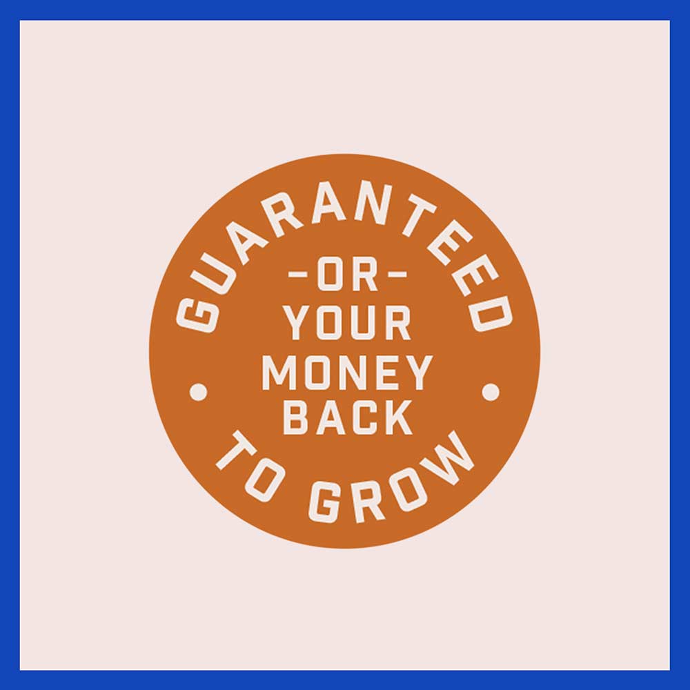 lawn-booster-sun-and-shade-12