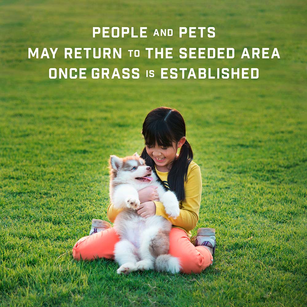 lawn-booster-tall-fescue-11