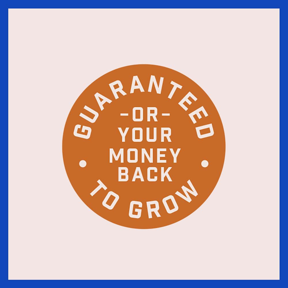 lawn-booster-tall-fescue-12