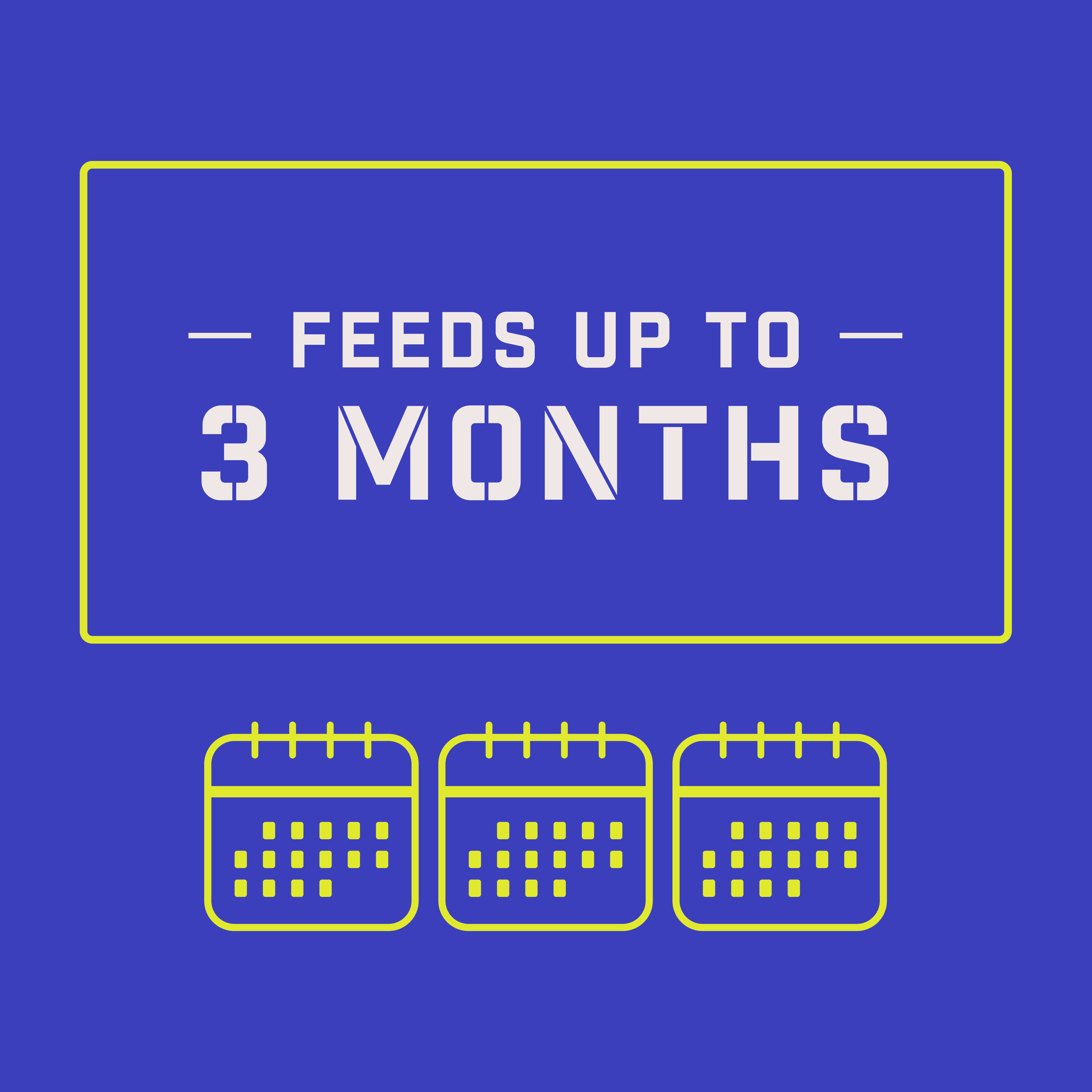 lawn-booster-tall-fescue-5