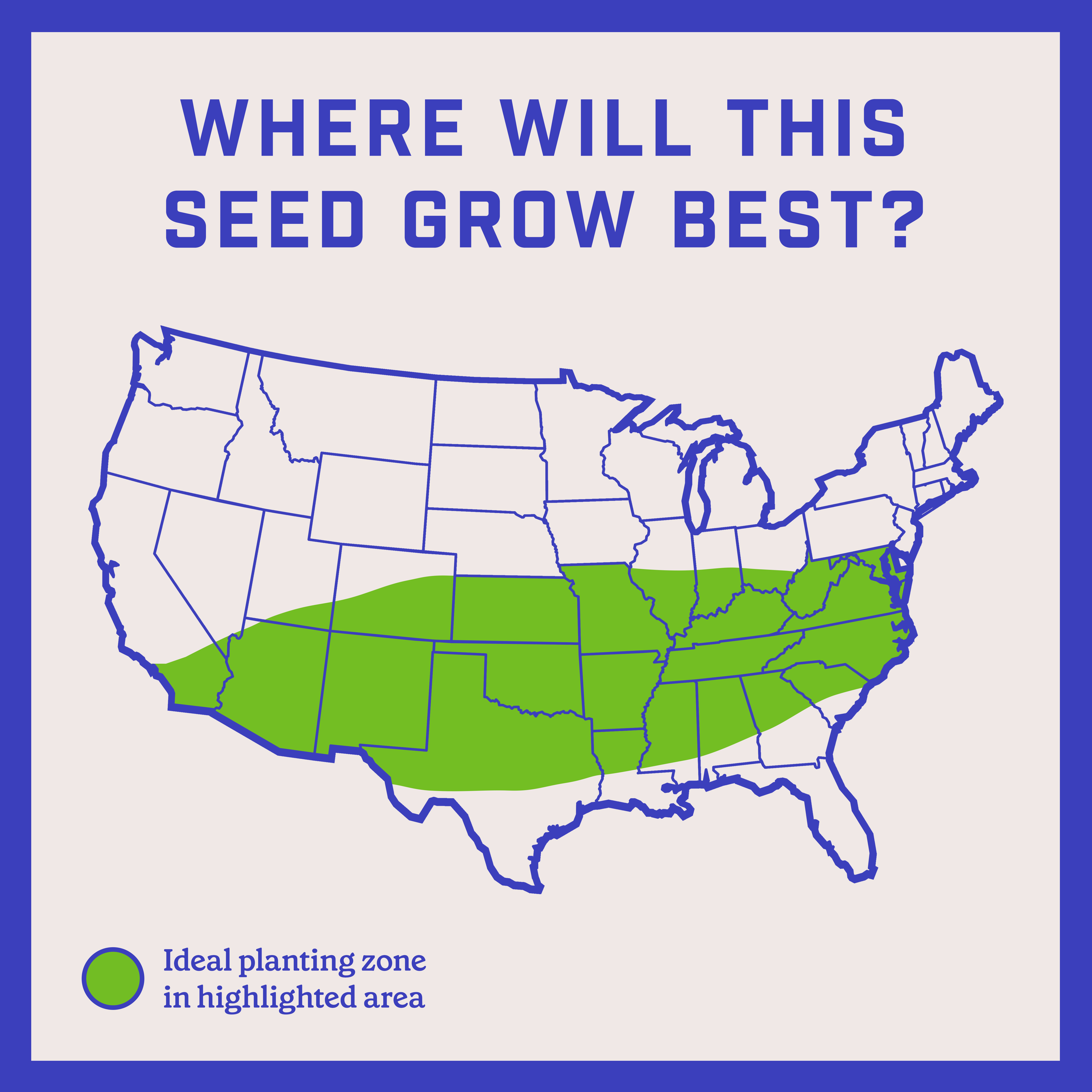 lawn-booster-tall-fescue-7