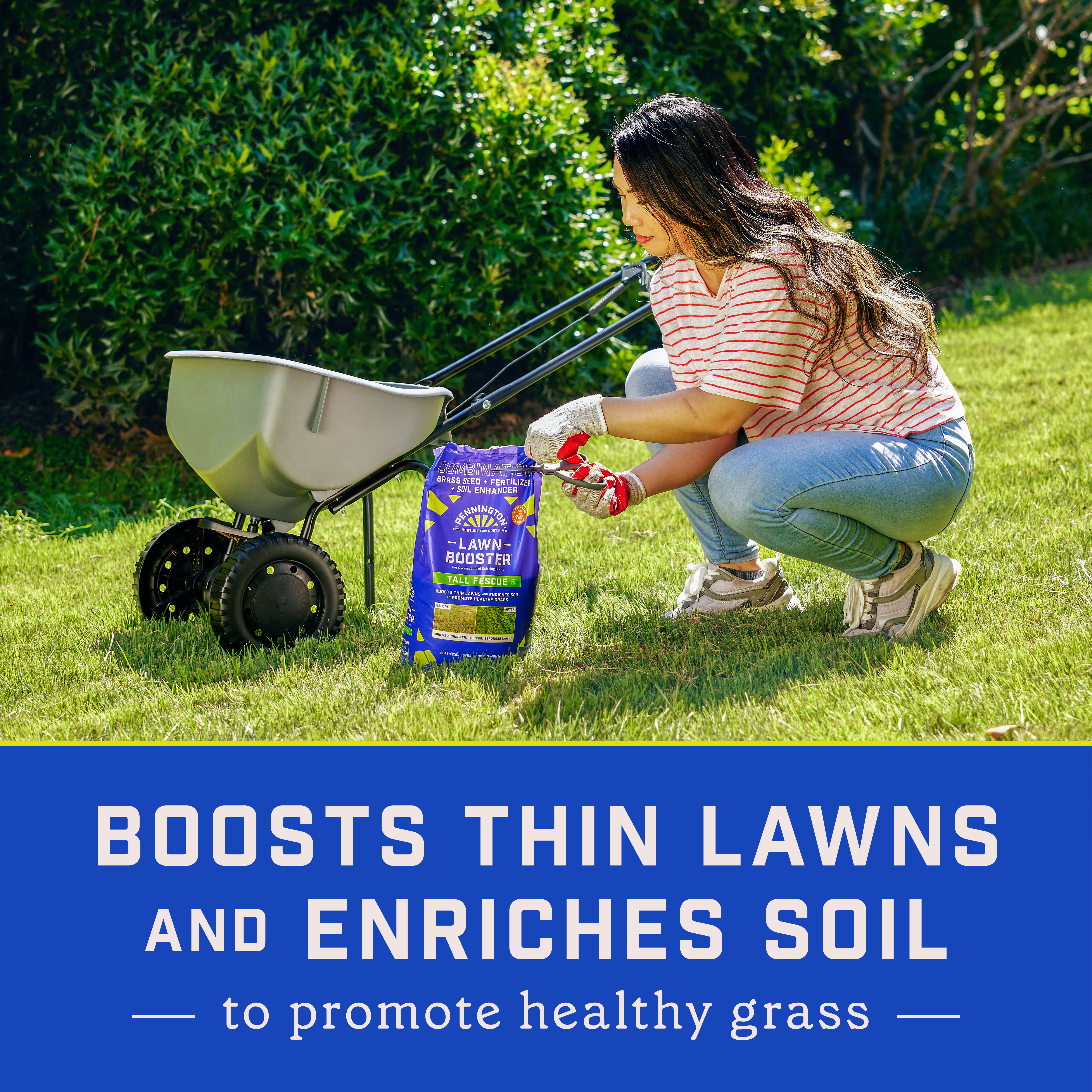 lawn-booster-tall-fescue-8