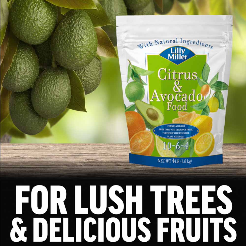 Lilly Miller Citrus and Avocado Food