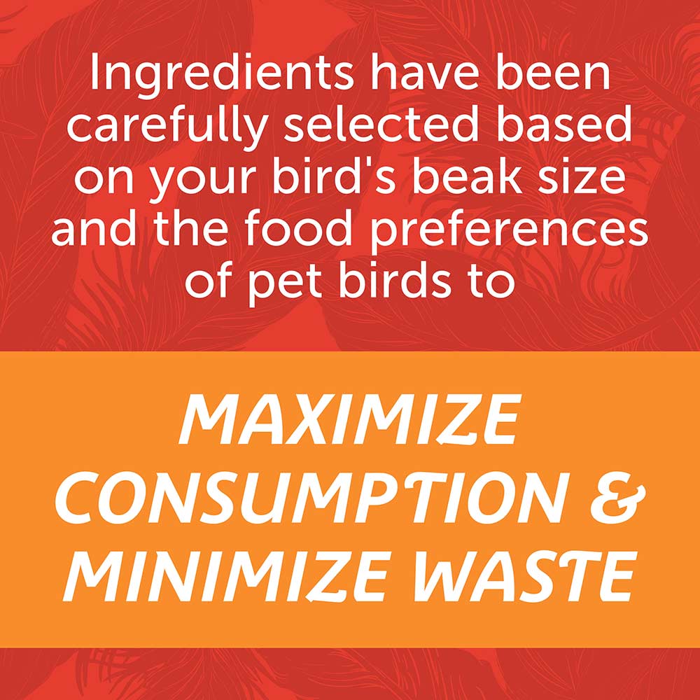 medium-bird-blend-3lbs-7