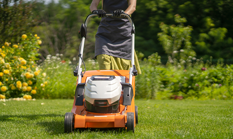 Healthy mowing practices keep your lawn more sustainable.