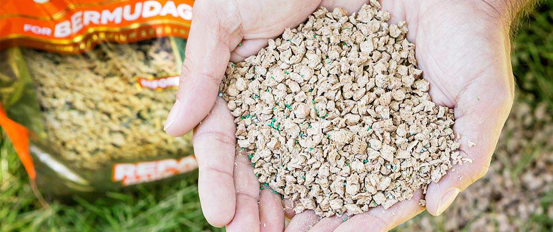 Quick, Simple Lawn Repair with One Step Complete