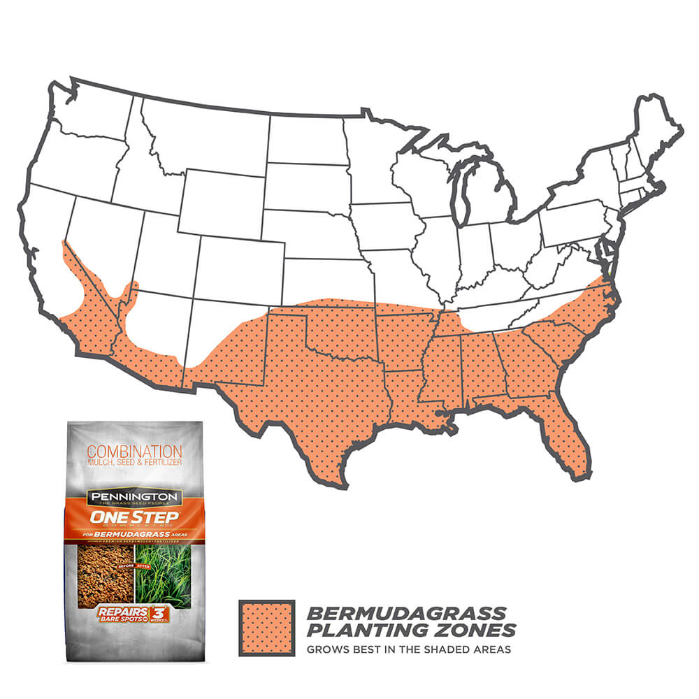 PE-1-Step-Complete-Bermuda_2