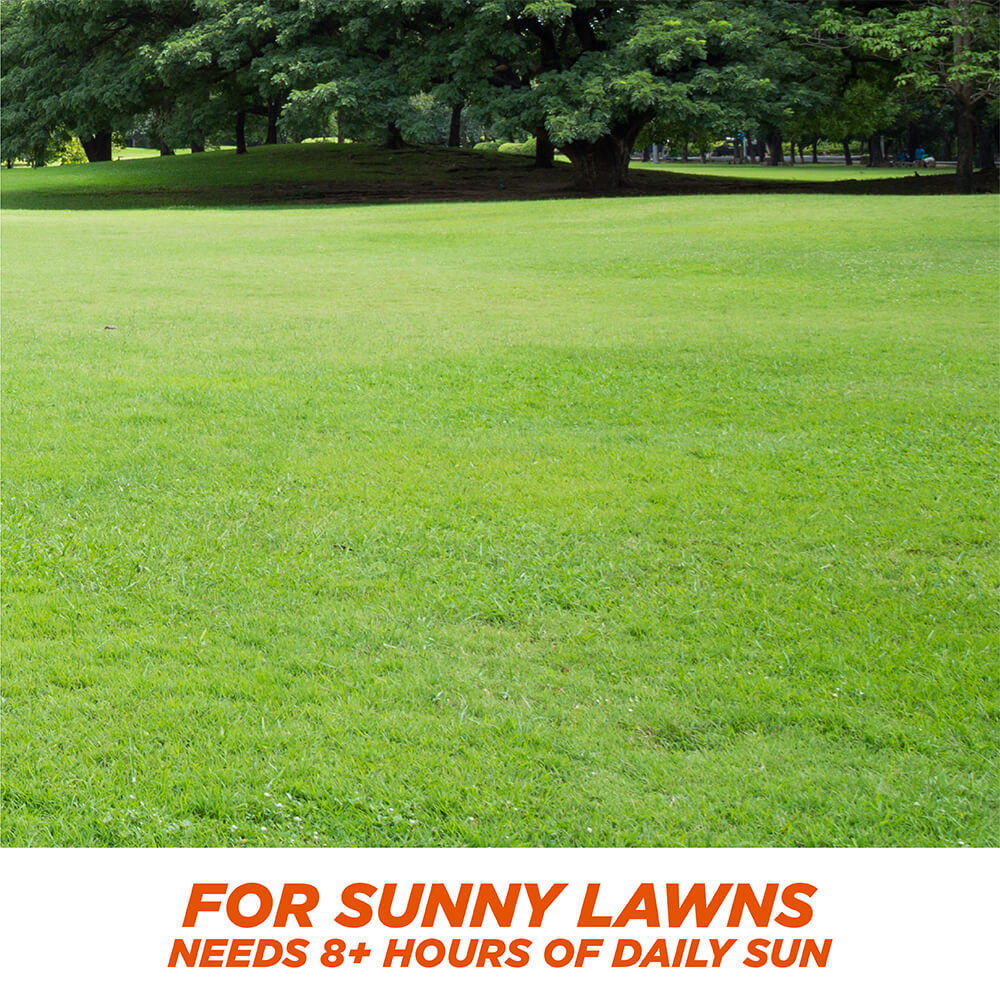 PE-1-Step-Complete-Bermuda_3