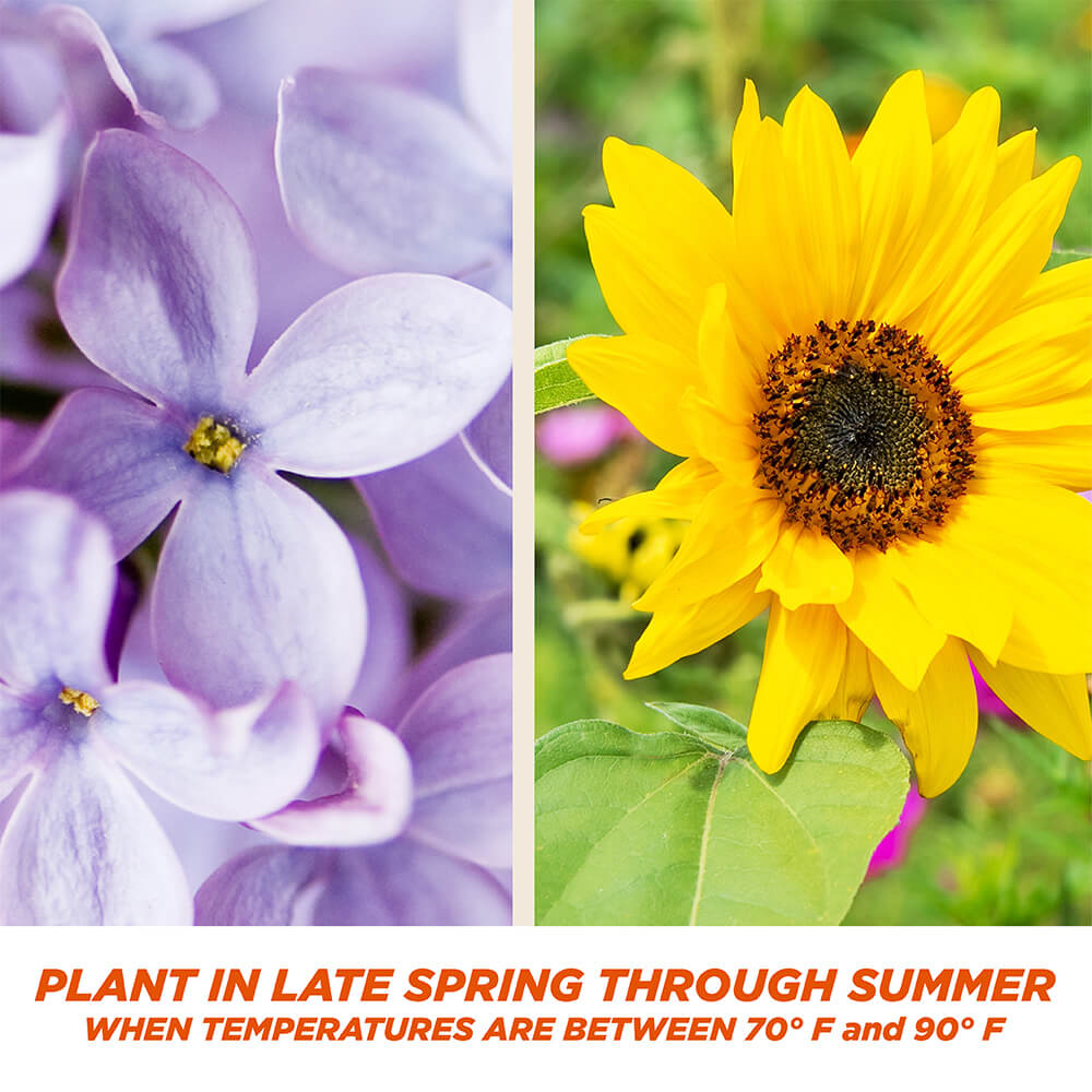 PE-1-Step-Complete-Bermuda_5