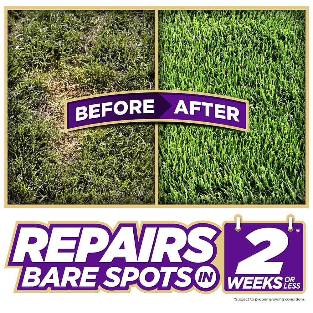 PE-1-Step-Complete_DenseShade_1