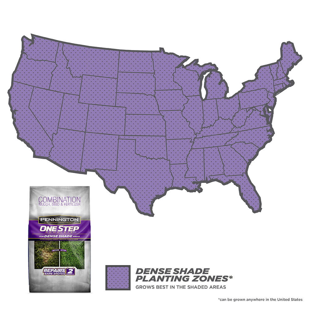 PE-1-Step-Complete_DenseShade_2