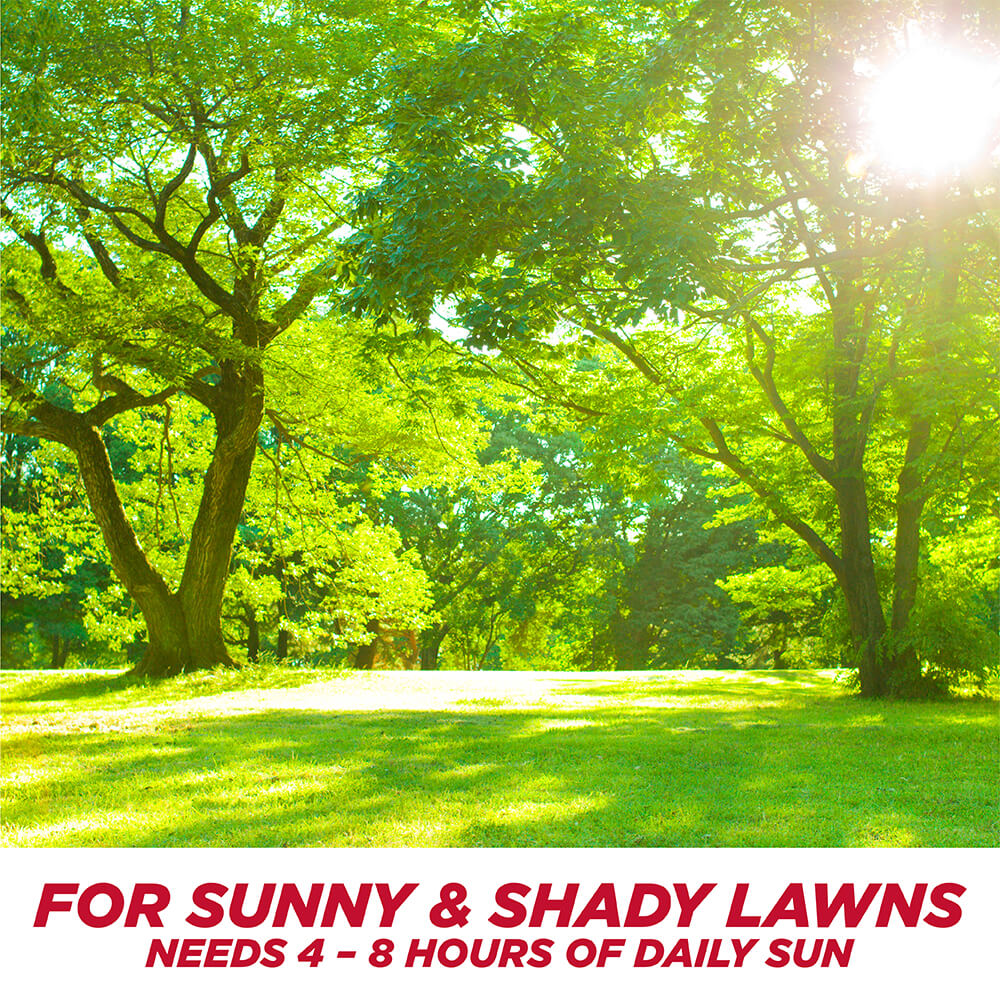 PE-1-Step-Completes_SunShade_3