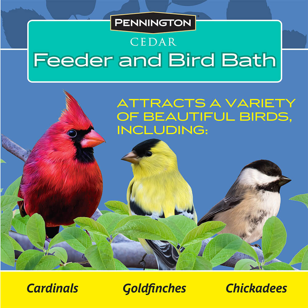 PE-Wildbird-Cedar-Hanging-2_in_1-Bird-Bath_6