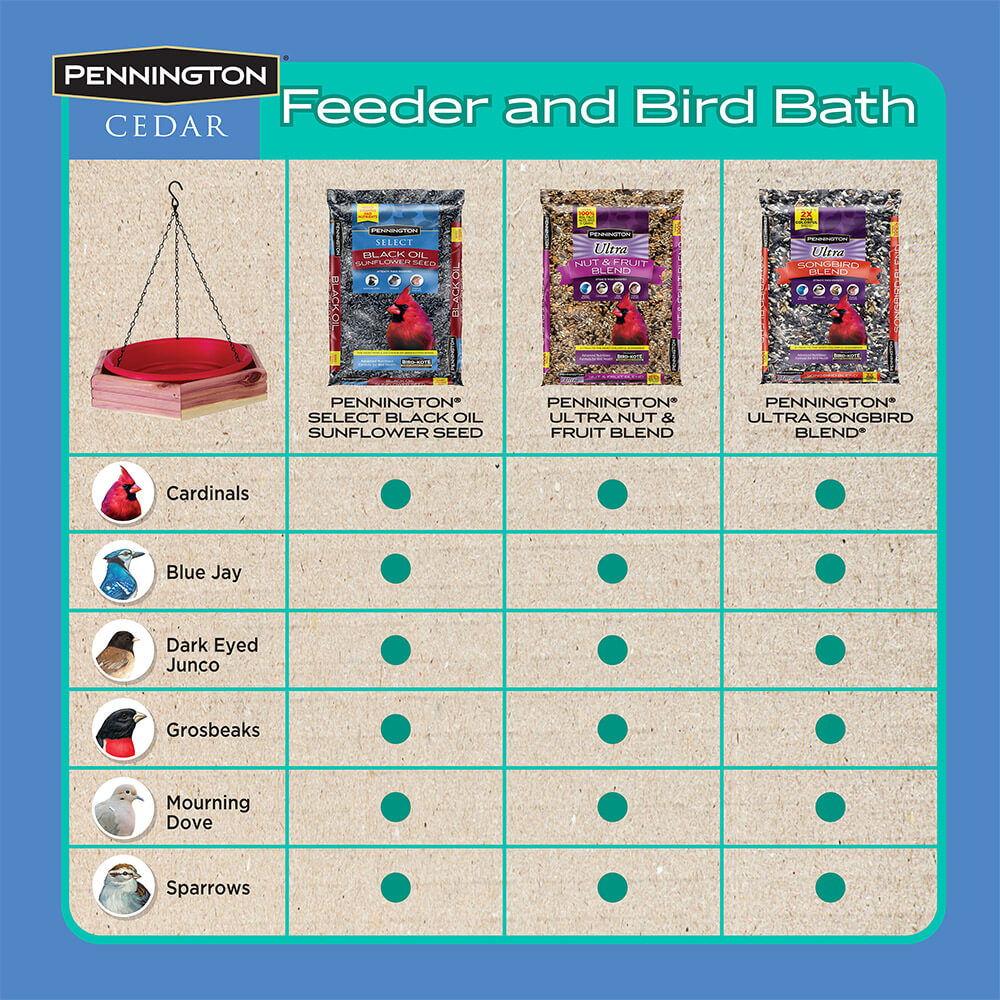 PE-Wildbird-Cedar-Hanging-2_in_1-Bird-Bath_7