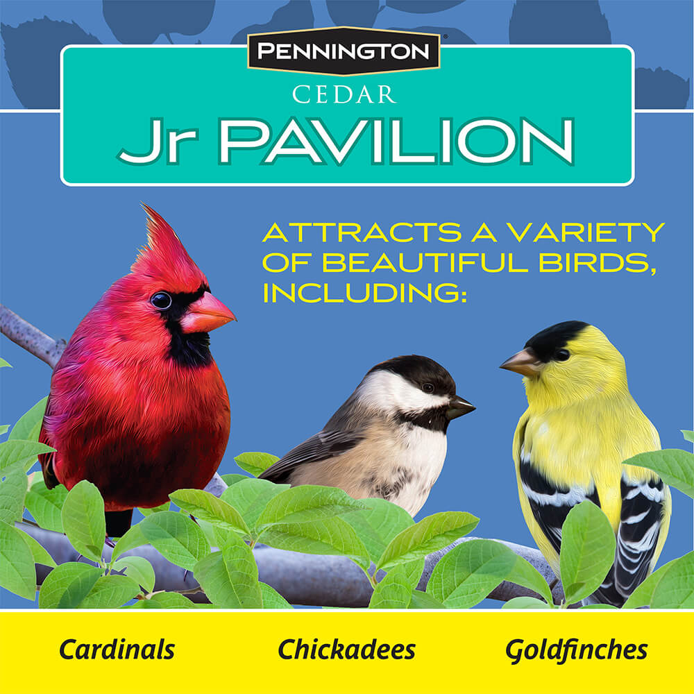 PE-Wildbird-Cedar-Jr-Pavilion_7