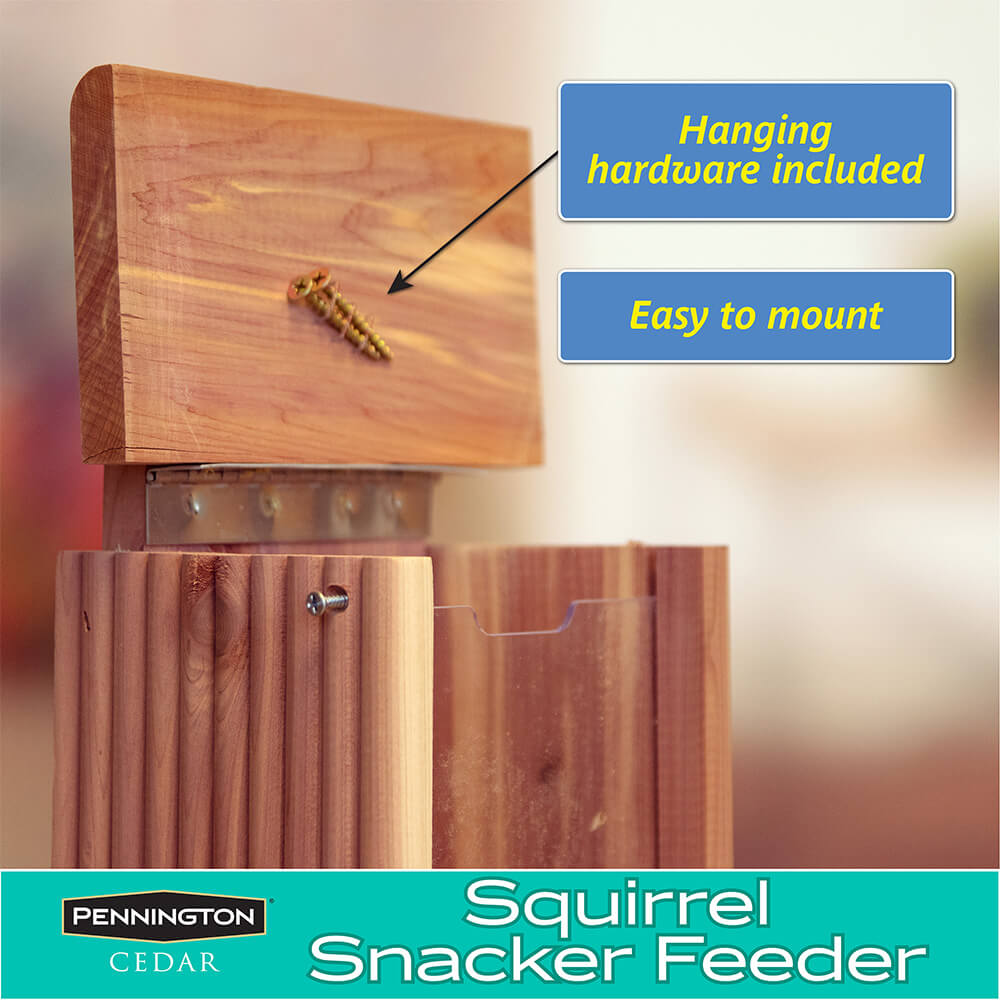 PE-Wildbird-Cedar-Squirrel-Snacker_5