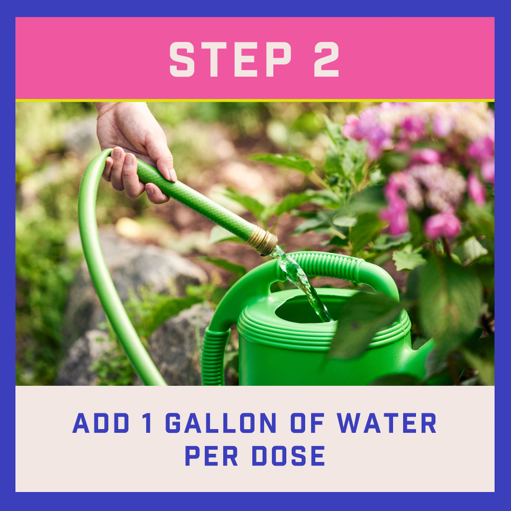 pennington-all-purpose-plant-food-10