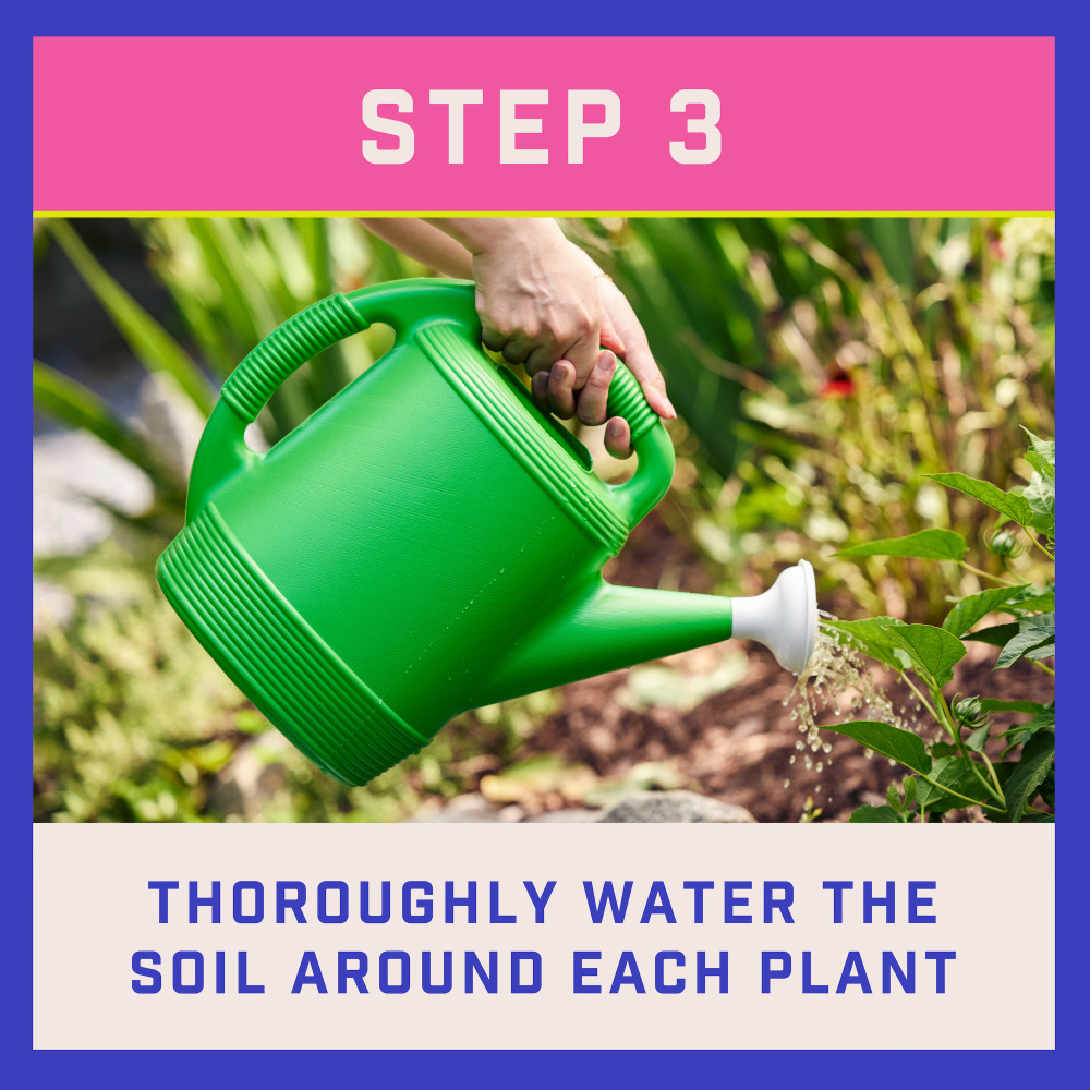 pennington-all-purpose-plant-food-11