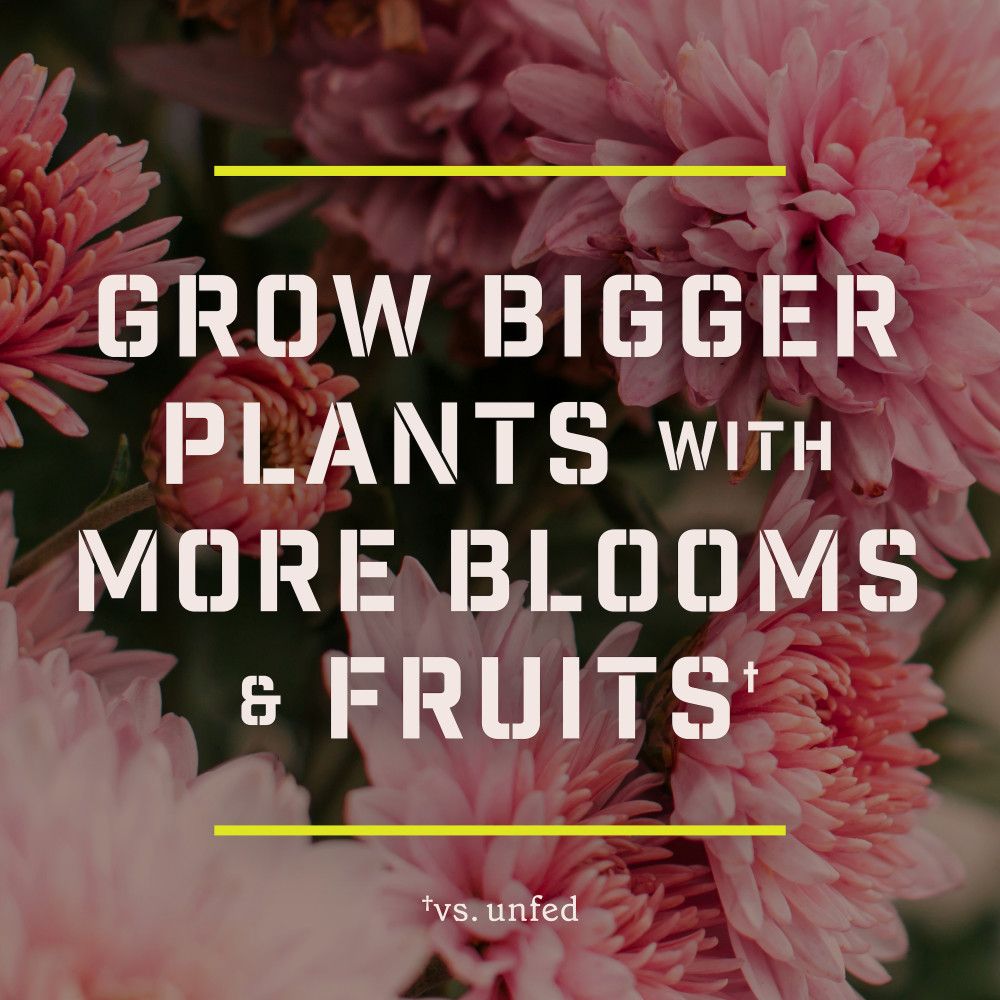 pennington-all-purpose-plant-food-6